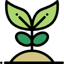plant Plant