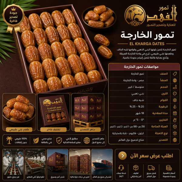تمور الخارجة 600x600