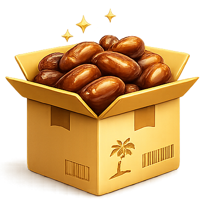 boxs Boxs
